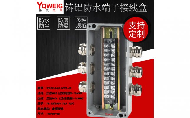 WG20-3A3-12TB-JS-鑄鋁端子接線盒